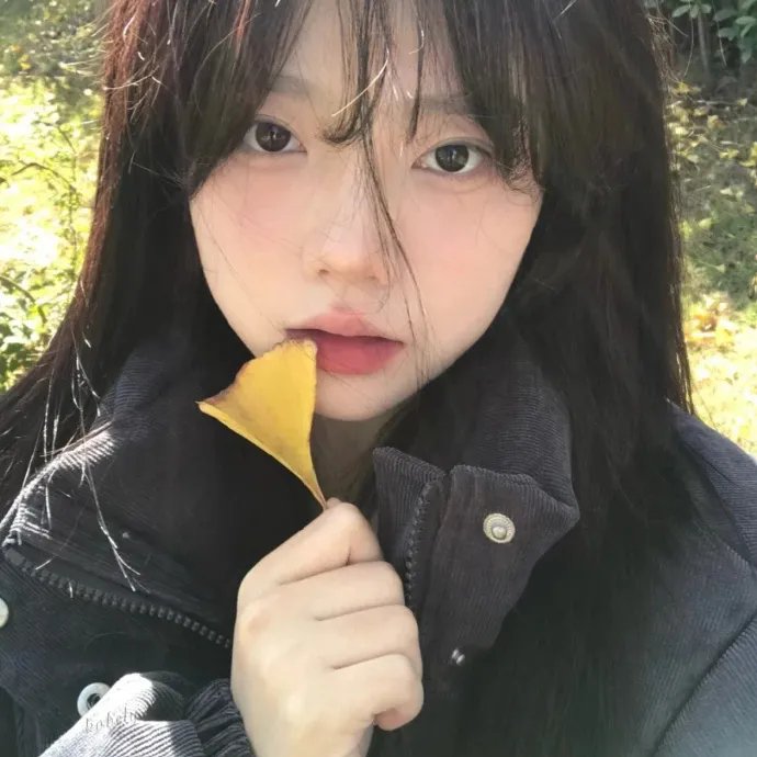 拉字至上第一季